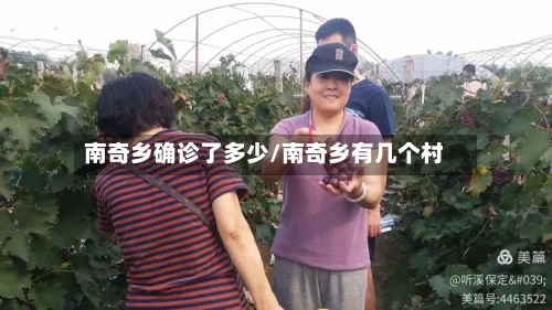 南奇乡确诊了多少/南奇乡有几个村