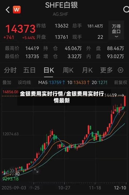 金银费用实时行情/金银费用实时行情最新-第3张图片