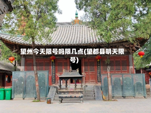 望州今天限号吗限几点(望都县明天限号)