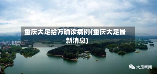 重庆大足拾万确诊病例(重庆大足最新消息)-第2张图片