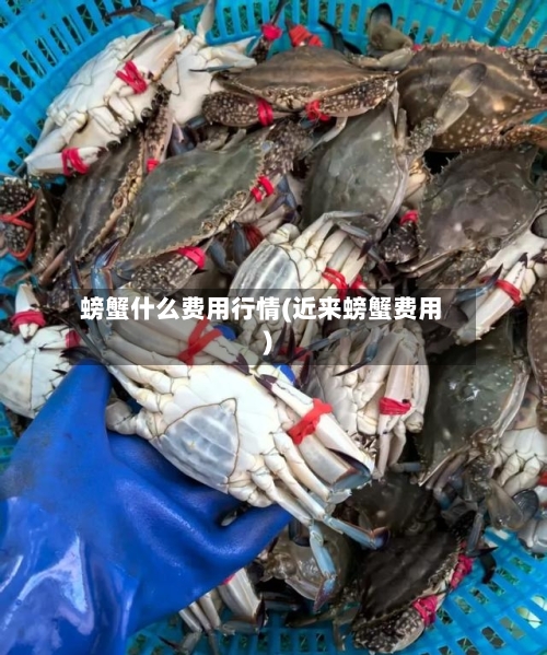 螃蟹什么费用行情(近来螃蟹费用)-第2张图片