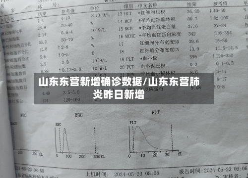山东东营新增确诊数据/山东东营肺炎昨日新增-第2张图片