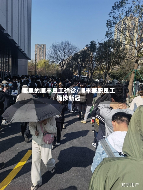 哪里的顺丰员工确诊/顺丰兼职员工确诊新冠-第3张图片