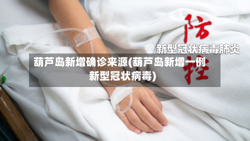 葫芦岛新增确诊来源(葫芦岛新增一例新型冠状病毒)-第2张图片