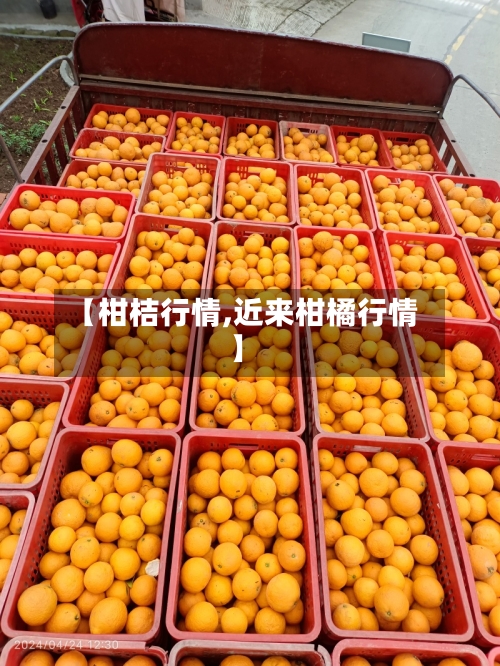 【柑桔行情,近来柑橘行情】-第2张图片