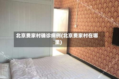 北京费家村确诊病例(北京费家村在哪里)-第2张图片