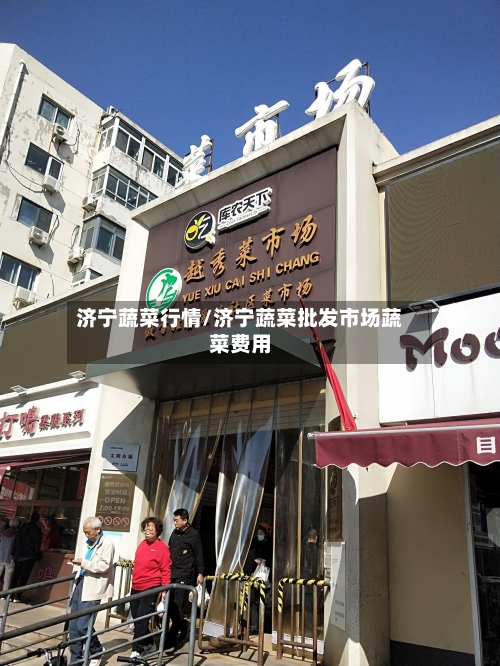 济宁蔬菜行情/济宁蔬菜批发市场蔬菜费用-第2张图片