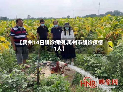 【禹州14日确诊病例,禹州市确诊疫情1人】