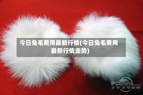 今日兔毛费用最新行情(今日兔毛费用最新行情走势)
