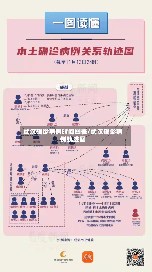 武汉确诊病例时间图表/武汉确诊病例轨迹图