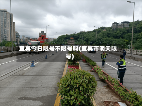 宜宾今日限号不限号吗(宜宾市明天限号)-第2张图片