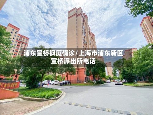 浦东宣桥枫庭确诊/上海市浦东新区宣桥派出所电话
