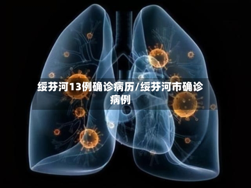 绥芬河13例确诊病历/绥芬河市确诊病例-第2张图片