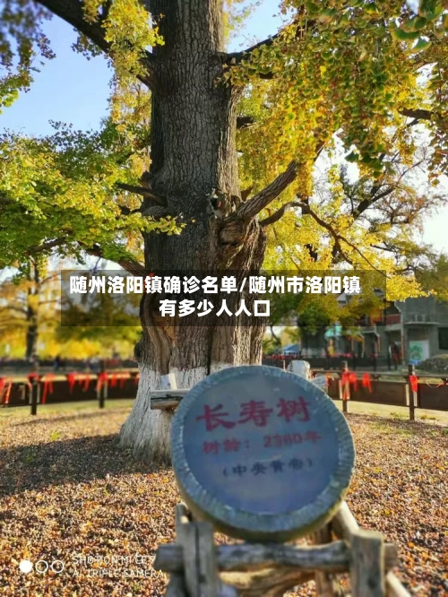 随州洛阳镇确诊名单/随州市洛阳镇有多少人人口-第2张图片