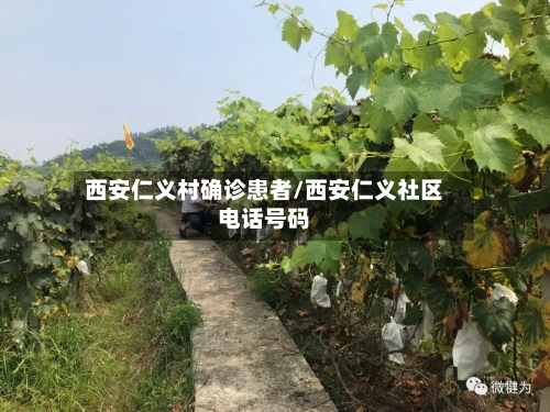 西安仁义村确诊患者/西安仁义社区电话号码