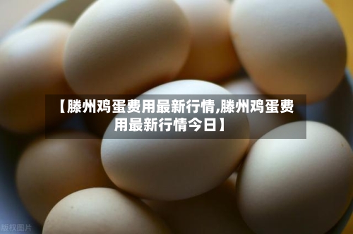 【滕州鸡蛋费用最新行情,滕州鸡蛋费用最新行情今日】
