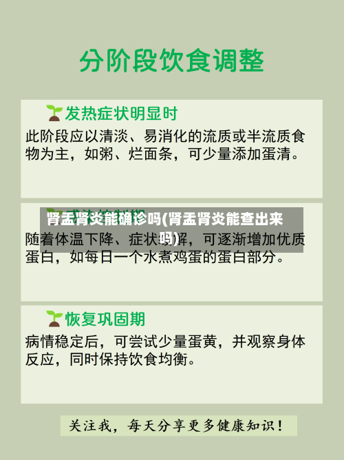 肾盂肾炎能确诊吗(肾盂肾炎能查出来吗)-第2张图片