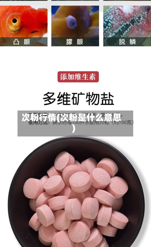 次粉行情(次粉是什么意思)