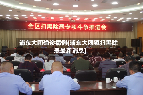浦东大团确诊病例(浦东大团镇扫黑除恶最新消息)