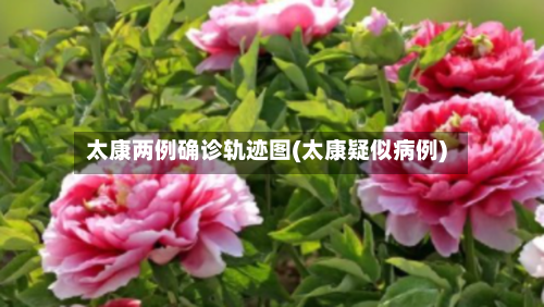 太康两例确诊轨迹图(太康疑似病例)-第2张图片