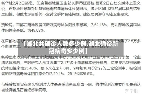 【湖北共确诊人数多少例,湖北确诊新冠病毒多少例】-第3张图片