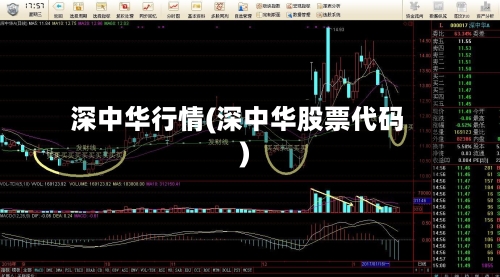 深中华行情(深中华股票代码)-第2张图片