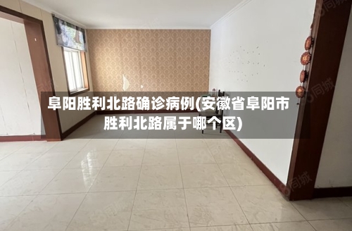 阜阳胜利北路确诊病例(安徽省阜阳市胜利北路属于哪个区)