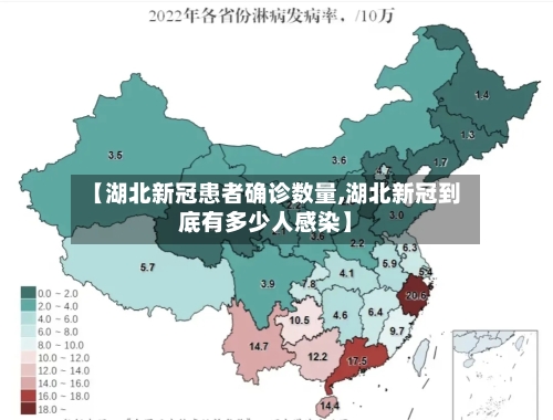 【湖北新冠患者确诊数量,湖北新冠到底有多少人感染】-第2张图片