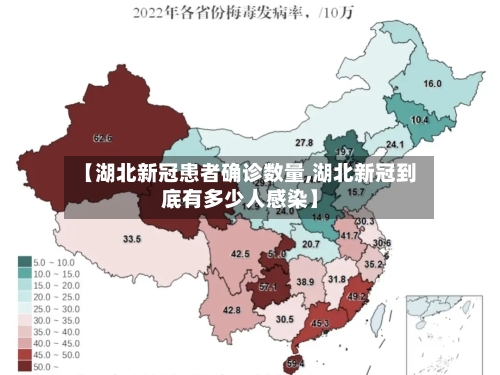 【湖北新冠患者确诊数量,湖北新冠到底有多少人感染】-第3张图片