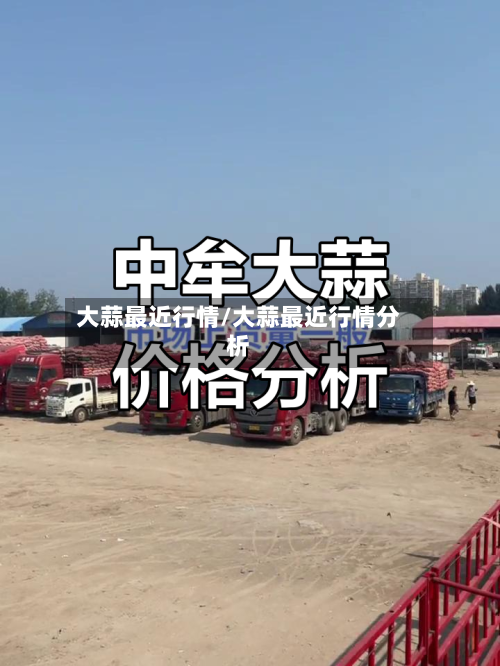 大蒜最近行情/大蒜最近行情分析-第3张图片