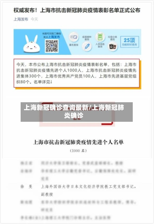 上海新冠确诊查询最新/上海新冠肺炎确诊-第2张图片