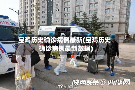 宝鸡历史确诊病例最新(宝鸡历史确诊病例最新数据)-第2张图片