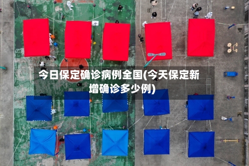 今日保定确诊病例全国(今天保定新增确诊多少例)-第2张图片
