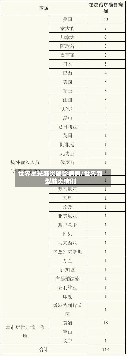 世界星光肺炎确诊病例/世界新型肺炎病例-第2张图片