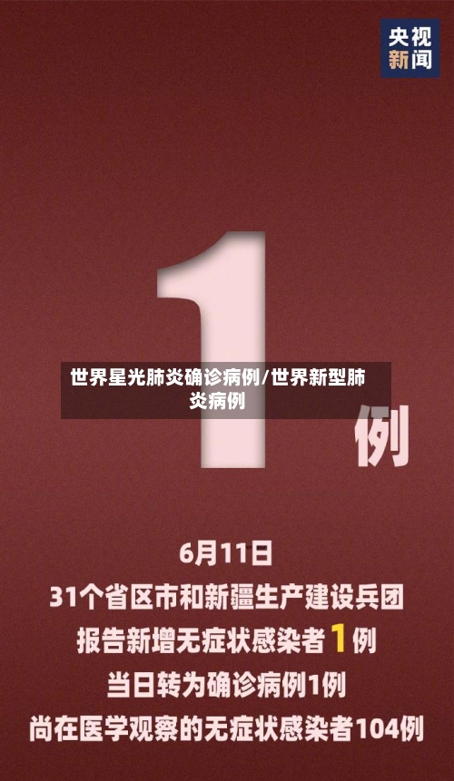 世界星光肺炎确诊病例/世界新型肺炎病例-第3张图片