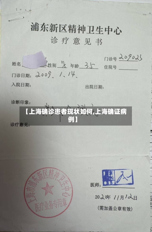 【上海确诊患者现状如何,上海确证病例】