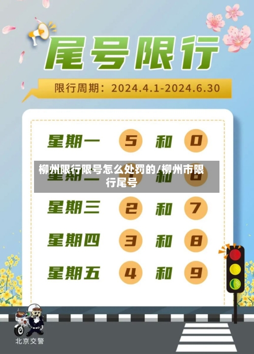 柳州限行限号怎么处罚的/柳州市限行尾号-第2张图片