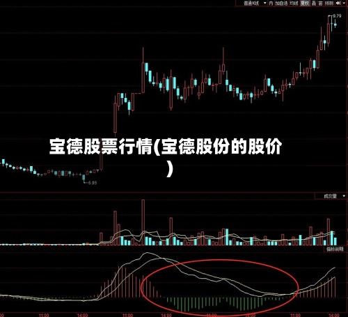 宝德股票行情(宝德股份的股价)-第3张图片