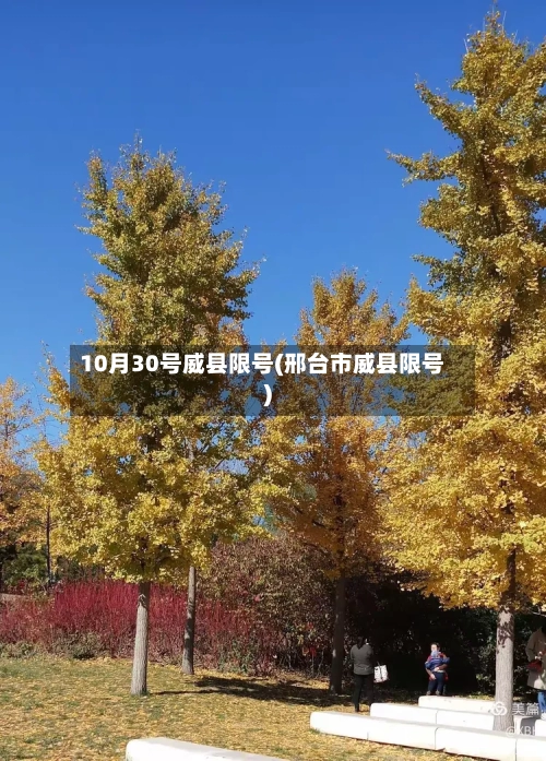10月30号威县限号(邢台市威县限号)