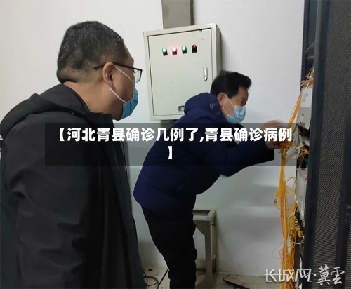 【河北青县确诊几例了,青县确诊病例】-第2张图片