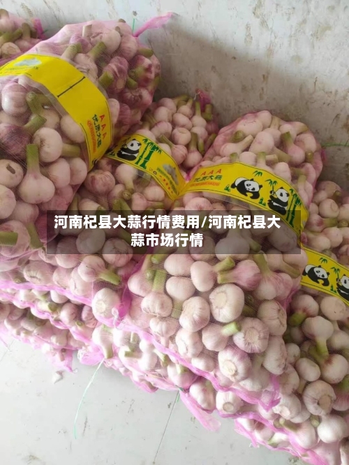 河南杞县大蒜行情费用/河南杞县大蒜市场行情-第2张图片