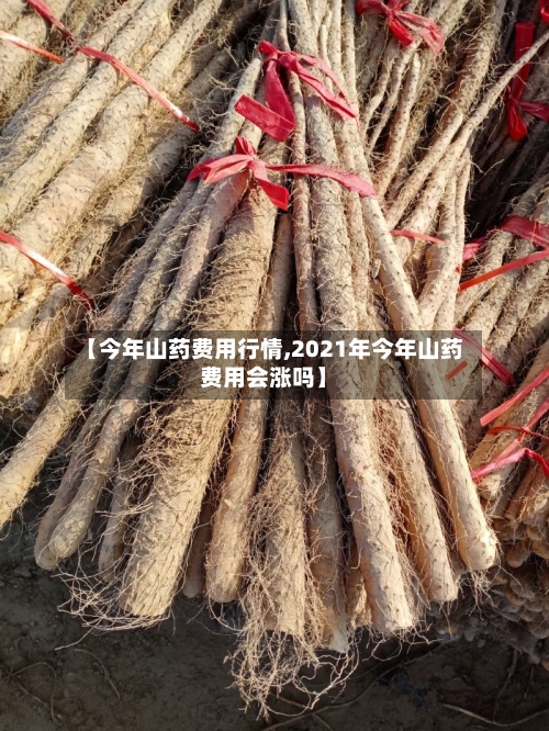 【今年山药费用行情,2021年今年山药费用会涨吗】-第2张图片