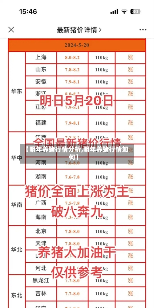 【明年养猪行情分析,明年养猪行情如何】