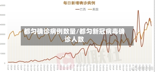 都匀确诊病例数量/都匀新冠病毒确诊人数-第2张图片