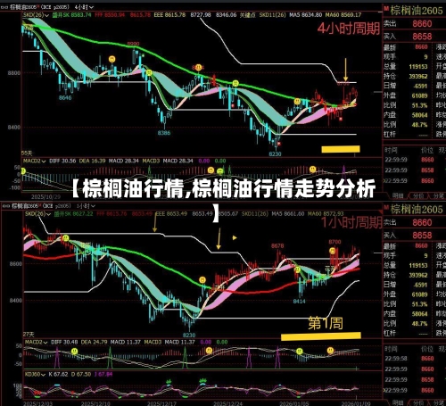 【棕榈油行情,棕榈油行情走势分析】