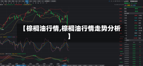 【棕榈油行情,棕榈油行情走势分析】-第3张图片