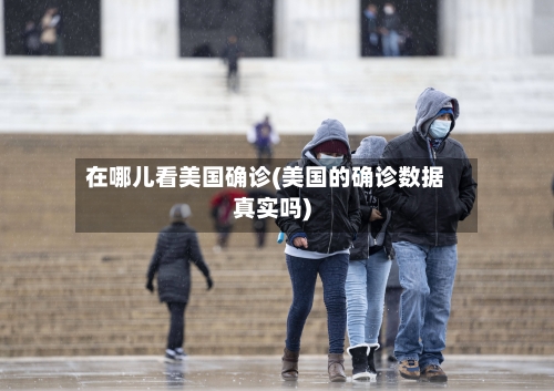 在哪儿看美国确诊(美国的确诊数据真实吗)