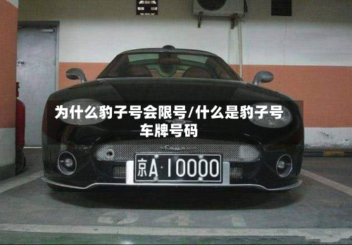 为什么豹子号会限号/什么是豹子号车牌号码
