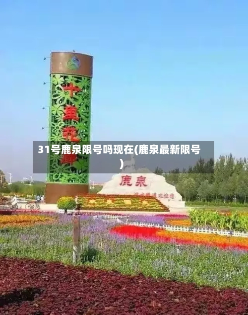 31号鹿泉限号吗现在(鹿泉最新限号)-第2张图片
