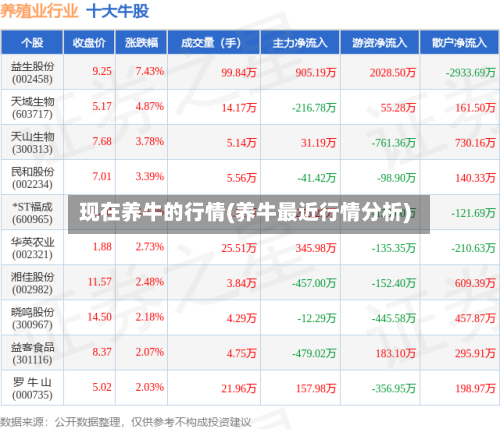 现在养牛的行情(养牛最近行情分析)